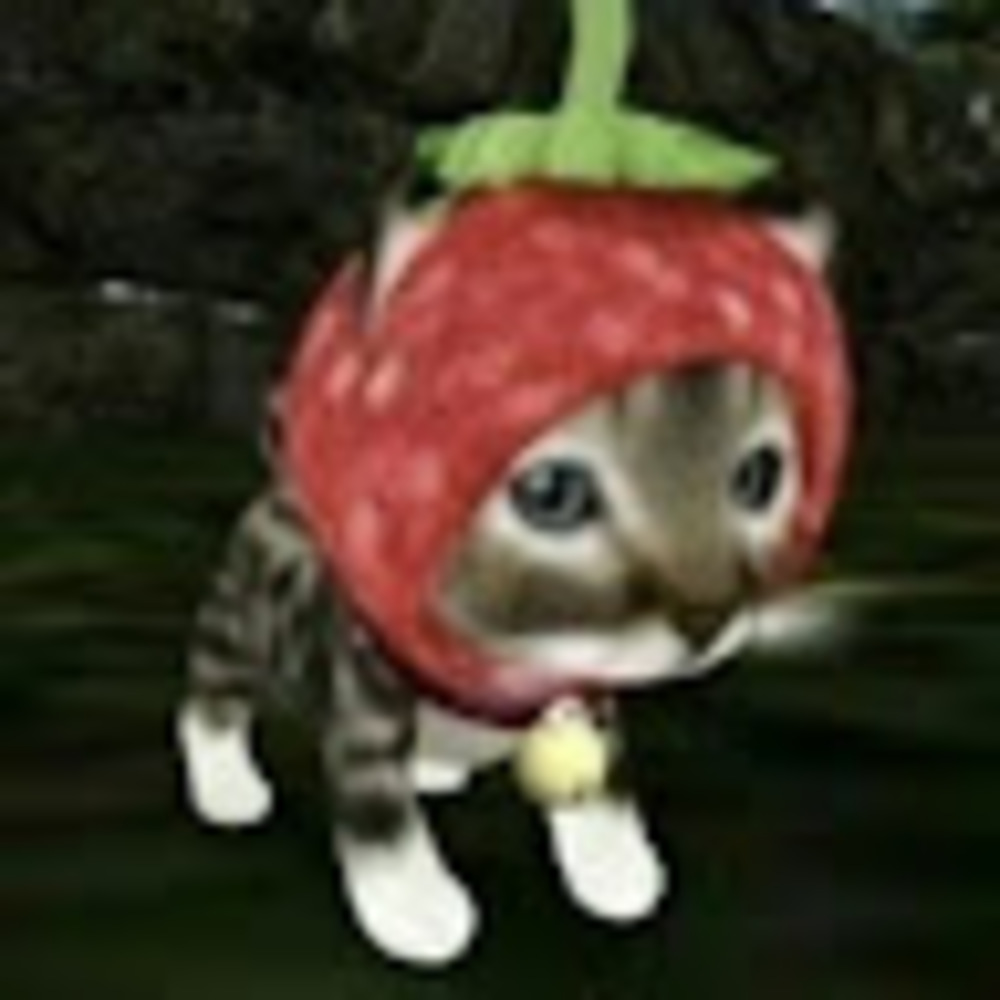 Meet your Posher, Agent